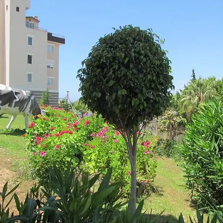 Elite Country Club 1+1 * Avsallar